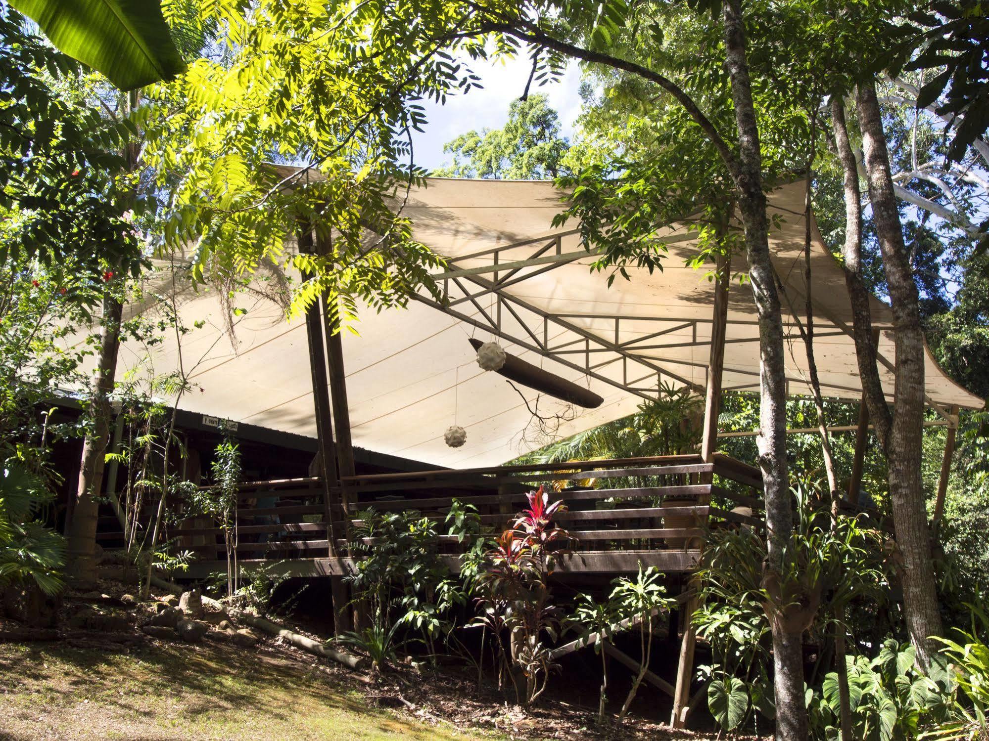 Cedar Park Rainforest Resort Koah Экстерьер фото