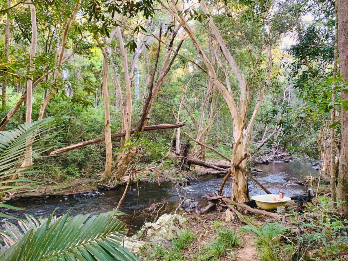 Cedar Park Rainforest Resort Koah Экстерьер фото